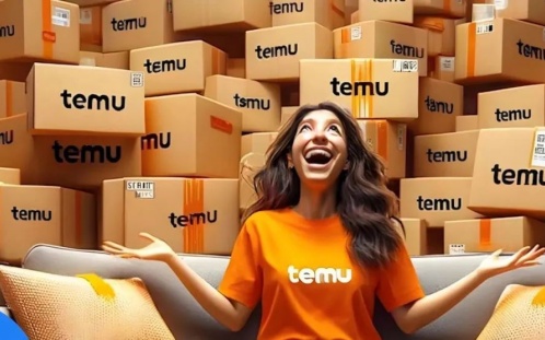 Temu新规掀起卖家震荡